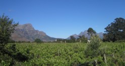 HOW IT ALL STARTED HOW IT ALL STARTED