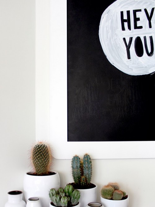 Succulents and cacti for interiors by VKV Visuals