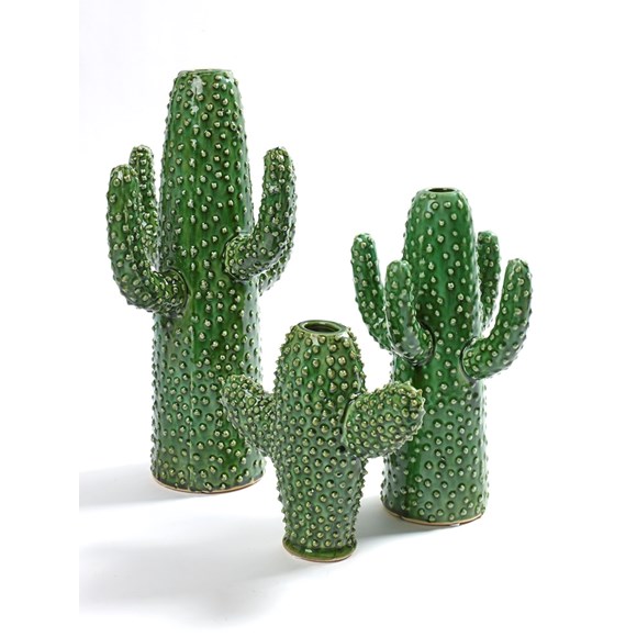 Succulents and cacti for interiors by VKV Visuals