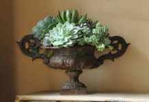 ON TREND: SUCCULENTS AND CACTI FOR INTERIORS ON TREND: SUCCULENTS AND CACTI FOR INTERIORS