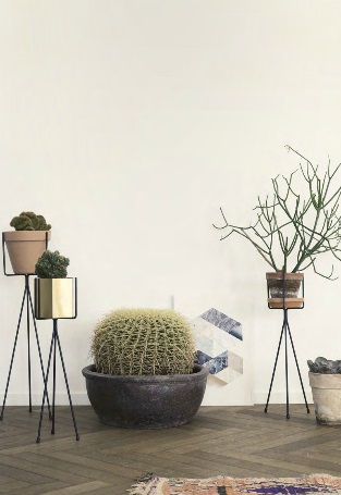 Pricky cacti and a succulent planted in raised potters by Ferm Living's new Autumn-Winter collection