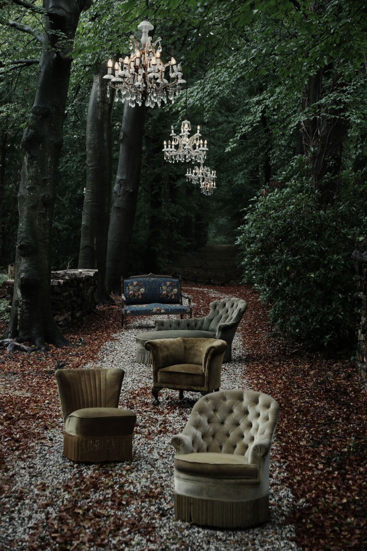 Vintage velvet beauties in the wild, what a wonderful scene - via Roomed