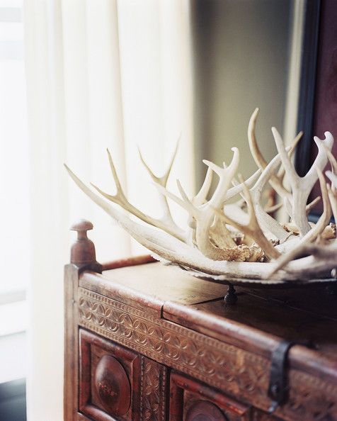 Antlers off the wall - via Lonny