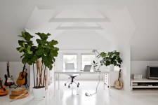 ON TREND: THE FIDDLE LEAF FIG ON TREND: THE FIDDLE LEAF FIG
