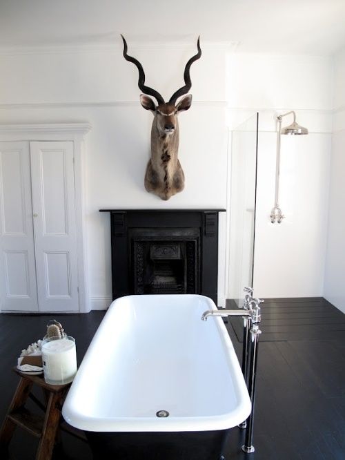 Slightly intimidating South Africa Kudu in the bathroom - via The Gifts of Life