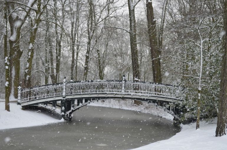 I cross this bridge in the Vondelpark every day whilst walking my dog