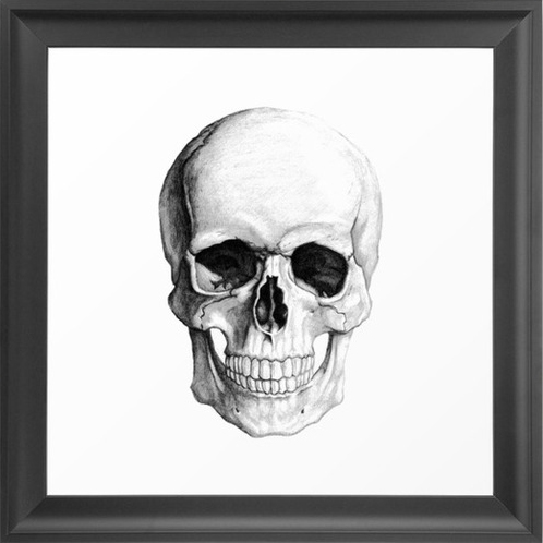 A Skull via Dot and Bo