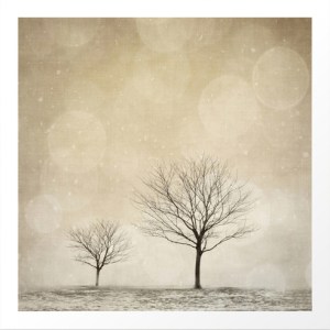 Winter Trees via Dot and Bo