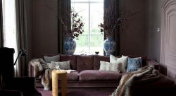 COLOR OF THE MONTH VIOLET COLOR OF THE MONTH VIOLET