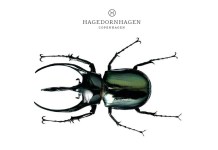 CREEPY CRAWLIES BY HAGEDORNHAGEN CREEPY CRAWLIES BY HAGEDORNHAGEN