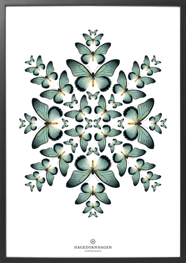 From the Speculo Collection with kaleidoscopic patterns