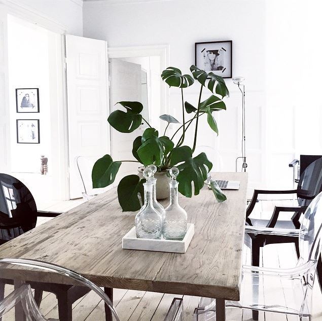 Green Plants and Flowers