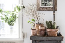 GREEN PLANTS AND FLOWERS