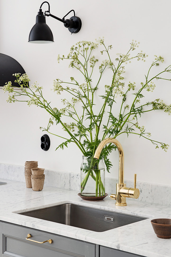 Green Plants and Flowers