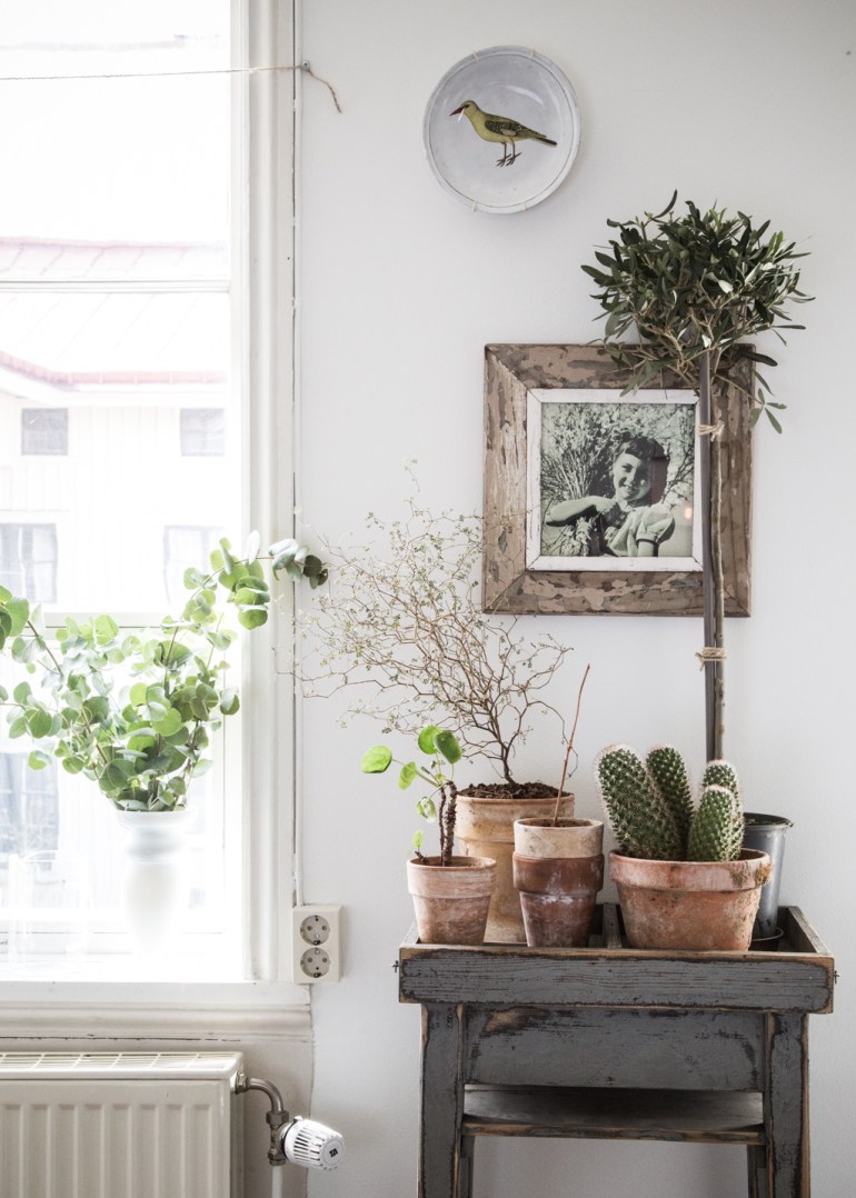 Green Plants and Flowers