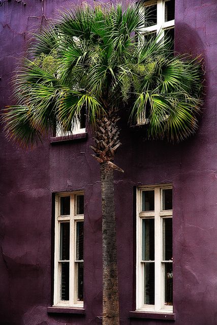 Aubergine Interiors