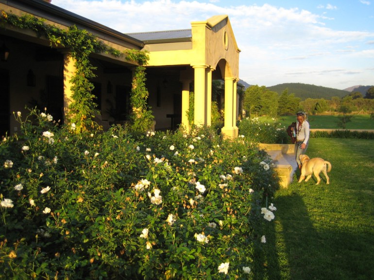 Look at those beautiful roses!