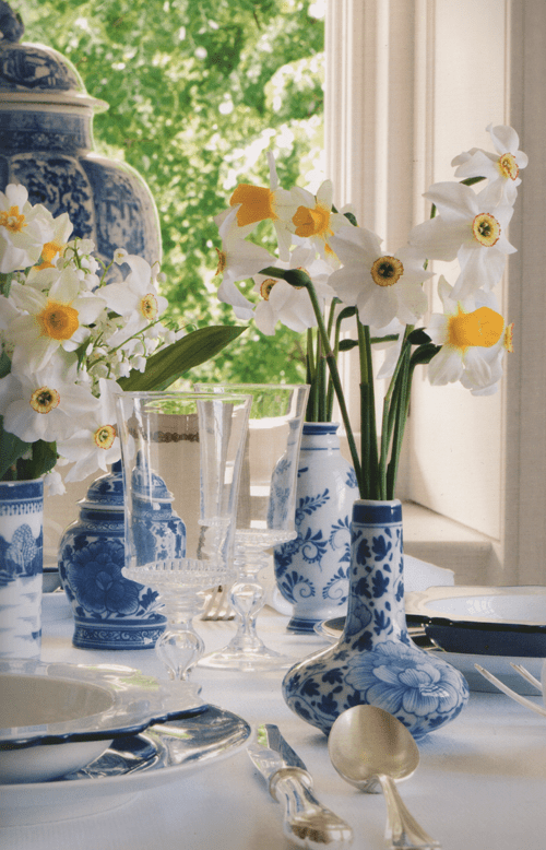 blue and white dafodils