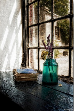 via Bohemian Wornest