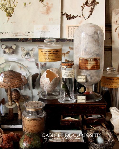Cabinet of curiosities, so much to see - via BlackPool