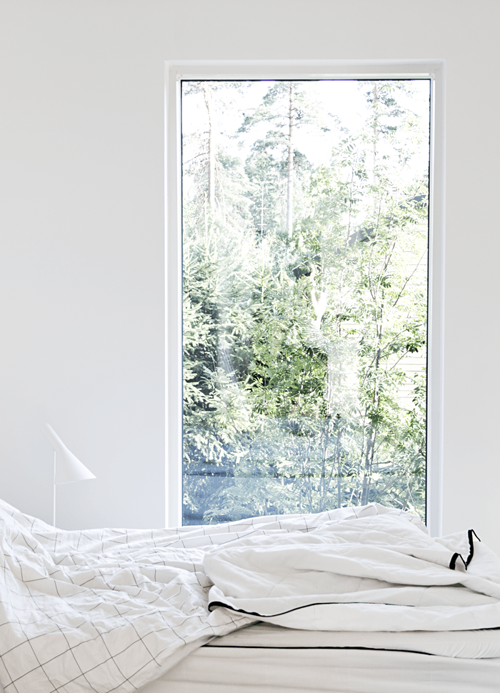 Panorama Window