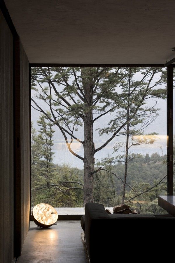 Panorama Window