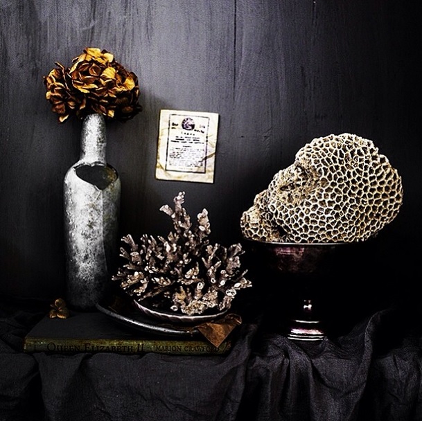 Small collection of corals found by stylist and photographer Kara Rosenlund in Australia - via Instagram